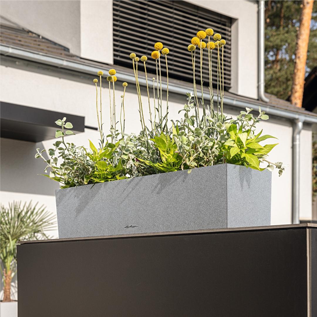LECHUZA planter BALCONERA Stone black 79x19x19cm